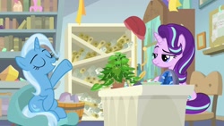 Size: 1920x1080 | Tagged: safe, screencap, character:phyllis, character:starlight glimmer, character:trixie, species:pony, species:unicorn, episode:a horse shoe-in, g4, my little pony: friendship is magic, arrogant, bookshelf, duo, eyes closed, female, frown, grin, hair flip, headmare starlight, interview, mare, narrowed eyes, philodendron, raised eyebrow, raised hoof, scroll, sitting, smiling, starlight is not amused, starlight's office, unamused, unimpressed