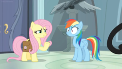 Size: 1600x900 | Tagged: safe, screencap, character:fluttershy, character:rainbow dash, species:pegasus, species:pony, episode:daring doubt, g4, my little pony: friendship is magic, door, duo, duo female, female, mare, pedestal, saddle bag, statue, surprised