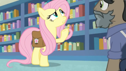 Size: 1600x900 | Tagged: safe, screencap, character:fluttershy, species:earth pony, species:pegasus, species:pony, episode:daring doubt, g4, my little pony: friendship is magic, book, bookshelf, bookstore, clothing, disguise, duo, fake beard, female, george r.r. martin, groom q.q. martingale, jacket, male, mare, saddle bag, shelf, stallion, thinking