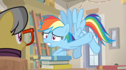 Size: 1600x896 | Tagged: safe, screencap, character:a.k. yearling, character:rainbow dash, species:pegasus, species:pony, episode:daring doubt, g4, my little pony: friendship is magic, book, bookshelf, door, duo, duo female, female, flying, glasses, ladder, mare, shelf, worried