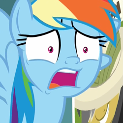 Size: 1079x1078 | Tagged: safe, screencap, character:rainbow dash, species:pegasus, species:pony, episode:daring doubt, g4, my little pony: friendship is magic, cropped, disbelief, faec, female, horrified, mare, open mouth, rainbow dash is best facemaker, say what, shocked, shrunken pupils, solo