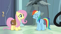 Size: 1920x1080 | Tagged: safe, screencap, character:fluttershy, character:rainbow dash, species:pony, episode:daring doubt, g4, my little pony: friendship is magic, rainbow dash's house, saddle bag