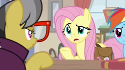 Size: 1920x1080 | Tagged: safe, screencap, character:a.k. yearling, character:fluttershy, character:rainbow dash, species:pony, episode:daring doubt, g4, my little pony: friendship is magic, book, saddle bag