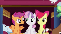 Size: 1280x720 | Tagged: safe, screencap, character:apple bloom, character:opalescence, character:scootaloo, character:spike, character:sweetie belle, character:tank, character:winona, species:dog, species:dragon, species:earth pony, species:pegasus, species:pony, species:unicorn, episode:just for sidekicks, g4, my little pony: friendship is magic, animated, crystal, cutie mark crusaders, female, male, mare, sound, tortoise, webm
