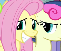 Size: 781x666 | Tagged: safe, screencap, character:bon bon, character:fluttershy, character:sweetie drops, species:pony, episode:putting your hoof down, g4, my little pony: friendship is magic, bon bon is not amused, cropped, cute, grin, looking at you, shyabetes, smiling, stare, unamused