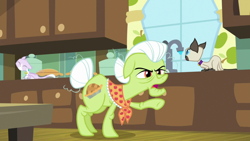 Size: 1920x1080 | Tagged: safe, screencap, character:granny smith, episode:going to seed, g4, my little pony: friendship is magic, cat