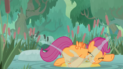 Size: 1600x900 | Tagged: safe, screencap, character:scootaloo, species:pegasus, species:pony, episode:growing up is hard to do, g4, my little pony: friendship is magic, bufogren, cattails, forest, older, older scootaloo, slipping, solo, splash, swamp