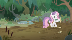 Size: 1600x894 | Tagged: safe, screencap, character:sweetie belle, species:pony, episode:growing up is hard to do, g4, my little pony: friendship is magic, bush, cattails, dirt, frustrated, mud, muddy, muddy hooves, older, older sweetie belle, paper, sticky, stuck, swamp, tree