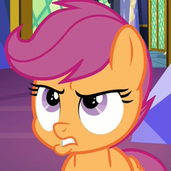 Size: 1079x1079 | Tagged: safe, screencap, character:scootaloo, species:pegasus, species:pony, derpibooru, episode:growing up is hard to do, g4, my little pony: friendship is magic, angry, annoyed, cropped, disappointed, female, filly, frown, gritted teeth, juxtaposition, meta, pouting, pouty lips, solo