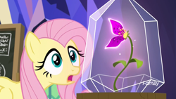 Size: 1920x1080 | Tagged: safe, screencap, character:fluttershy, species:pegasus, species:pony, episode:growing up is hard to do, g4, my little pony: friendship is magic, chalkboard, crystal, curious, discovery family logo, female, flower, mare, solo, twilight's castle, wishing flower