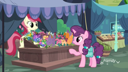 Size: 1920x1080 | Tagged: safe, screencap, character:roseluck, character:sugar belle, species:earth pony, species:pony, species:unicorn, episode:the big mac question, g4, my little pony: friendship is magic, discovery family logo, female, flower, flower shop, food, mare, pear, ponyville, saddle bag, vendor stall
