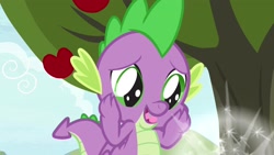Size: 1920x1080 | Tagged: safe, screencap, character:spike, species:dragon, episode:the big mac question, g4, my little pony: friendship is magic, apple, apple tree, food, puppy dog eyes, solo, tree, winged spike