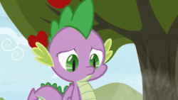 Size: 1920x1080 | Tagged: safe, screencap, character:big mcintosh, character:spike, species:dragon, species:earth pony, species:pony, episode:the big mac question, g4, my little pony: friendship is magic, animated, eeyup, male, out of context, sound, webm, winged spike
