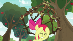 Size: 1280x720 | Tagged: safe, screencap, character:apple bloom, species:pony, episode:going to seed, g4, my little pony: friendship is magic, apple, apple tree, cage, solo, trap, tree