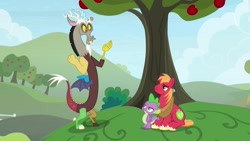 Size: 1920x1080 | Tagged: safe, screencap, character:big mcintosh, character:discord, character:spike, species:dragon, species:pony, episode:the big mac question, g4, my little pony: friendship is magic, apple, apple tree, tree, winged spike