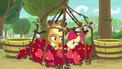 Size: 1280x720 | Tagged: safe, screencap, character:apple bloom, character:applejack, species:earth pony, species:pony, episode:going to seed, g4, my little pony: friendship is magic, apple, apple tree, applejack is not amused, applejack's hat, bucket, clothing, cowboy hat, duo, embarrassed, female, food, hat, how embarrassing, looking at each other, mare, predicament, raised eyebrow, siblings, sisters, stetson, trap, tree, unamused