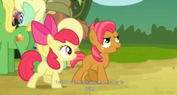 Size: 1589x861 | Tagged: safe, screencap, character:apple bloom, character:apple honey, character:babs seed, character:half baked apple, character:wensley, episode:apple family reunion, g4, my little pony: friendship is magic, youtube caption, youtube link