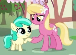 Size: 274x199 | Tagged: safe, screencap, character:lily, character:lily valley, character:mint flower, species:earth pony, species:pony, episode:the big mac question, g4, my little pony: friendship is magic, background pony, cropped, duo, female, filly, flower, flower in hair, foal, holding hooves, lily (flower), mare