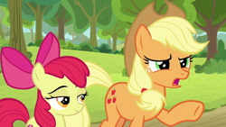 Size: 1920x1080 | Tagged: safe, screencap, character:apple bloom, character:applejack, species:pony, episode:going to seed, g4, my little pony: friendship is magic