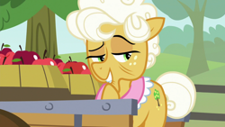 Size: 1920x1080 | Tagged: safe, screencap, character:goldie delicious, episode:going to seed, g4, my little pony: friendship is magic, apple, food, solo