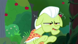 Size: 1920x1080 | Tagged: safe, screencap, character:granny smith, species:earth pony, species:pony, episode:the big mac question, g4, my little pony: friendship is magic, apple, apple tree, clothing, female, mare, scarf, solo, tree