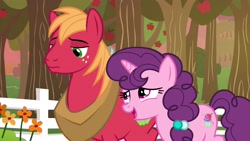 Size: 1920x1080 | Tagged: safe, screencap, character:big mcintosh, character:sugar belle, species:pony, episode:the big mac question, g4, my little pony: friendship is magic, apple, apple tree, fence, flower, tree