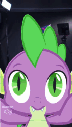 Size: 480x852 | Tagged: safe, official, screencap, character:spike, character:twilight sparkle, character:twilight sparkle (alicorn), species:alicorn, species:pony, animated, discovery family, female, instagram, irl, mare, meme, photo, ponies in real life, pony history, sound, triggered, webm