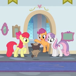 Size: 1080x1080 | Tagged: safe, screencap, character:apple bloom, character:scootaloo, character:sweetie belle, species:earth pony, species:griffon, species:pegasus, species:pony, species:unicorn, episode:the last problem, g4, my little pony: friendship is magic, cropped, cutie mark crusaders, friendship student, goldie delicious' scarf, older, older apple bloom, older cmc, older scootaloo, older sweetie belle, school of friendship