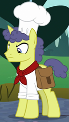 Size: 569x992 | Tagged: safe, screencap, species:pony, species:unicorn, episode:the ending of the end, g4, my little pony: friendship is magic, angry, annoyed, chef, chef's hat, clothing, cropped, frown, hat, male, neckerchief, saddle bag, shirt, solo, stallion, stove comet