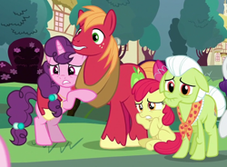 Size: 792x582 | Tagged: safe, screencap, character:apple bloom, character:big mcintosh, character:granny smith, character:sugar belle, species:earth pony, species:pony, species:unicorn, ship:sugarmac, episode:the ending of the end, g4, my little pony: friendship is magic, concerned, cropped, female, filly, frown, hug, husband and wife, male, mare, nervous, ponyville, rearing, scared, shipping, sitting, stallion, straight, worried