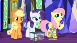 Size: 1366x768 | Tagged: safe, screencap, character:applejack, character:fluttershy, character:rarity, species:bird, episode:the last problem, g4, my little pony: friendship is magic, box, cage, door, glass, hummingbird, miniature, sewing, sewing machine, spider, spider web, star spider
