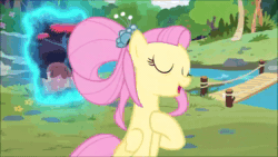 Size: 1920x1080 | Tagged: safe, screencap, character:angel bunny, character:clementine, character:fluttershy, character:luster dawn, species:bird, species:deer, species:duck, species:pegasus, species:pony, species:rabbit, species:unicorn, episode:the last problem, g4, my little pony: friendship is magic, animal, animal shelter, animated, butterfly, cute, giraffe, mouse, older, older fluttershy, portal, raccoon, snake, sound, the magic of friendship grows, webm