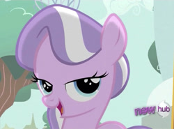 Size: 1015x750 | Tagged: safe, screencap, character:diamond tiara, species:earth pony, species:pony, episode:ponyville confidential, g4, my little pony: friendship is magic, 'new', bedroom eyes, cute, diamondbetes, female, filly, hub logo, lidded eyes, open mouth, solo