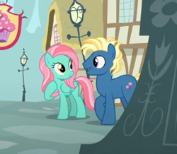 Size: 291x254 | Tagged: safe, screencap, species:earth pony, species:pegasus, species:pony, episode:the last problem, g4, my little pony: friendship is magic, background pony, cropped, duo, female, lolly popper, male, mare, minty breeze, smiling, stallion, talking