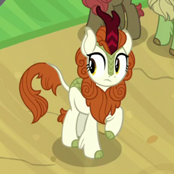 Size: 390x390 | Tagged: safe, screencap, character:autumn blaze, character:forest fall, character:maple brown, species:kirin, episode:sounds of silence, g4, my little pony: friendship is magic, cropped, female, quadrupedal, solo focus