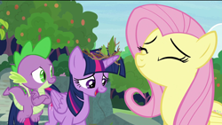 Size: 1920x1080 | Tagged: safe, screencap, character:fluttershy, character:spike, character:twilight sparkle, character:twilight sparkle (alicorn), species:alicorn, species:dragon, species:pony, episode:the last problem, g4, my little pony: friendship is magic, eyes closed, leaf, smiling, tree, twig, winged spike