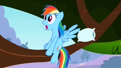 Size: 1280x720 | Tagged: safe, screencap, character:rainbow dash, species:pegasus, species:pony, episode:may the best pet win, g4, my little pony: friendship is magic, female, mare, pillow, solo, tree, tree branch