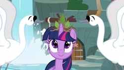 Size: 1920x1080 | Tagged: safe, screencap, character:twilight sparkle, character:twilight sparkle (alicorn), species:alicorn, species:bird, species:pony, episode:the last problem, g4, my little pony: friendship is magic, solo, swan
