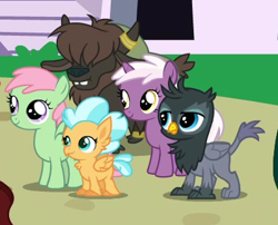 Size: 399x322 | Tagged: safe, screencap, character:sunspray, species:griffon, species:hippogriff, species:pegasus, species:pony, species:unicorn, species:yak, episode:the last problem, g4, my little pony: friendship is magic, animation error, background griffon, background hippogriff, background pony, calf, chickub, cropped, female, filly, fledgeling, foal, gio, mallow flower, spearmint gust, yak calf, yarborough