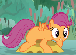 Size: 960x693 | Tagged: safe, screencap, character:scootaloo, species:pegasus, species:pony, episode:growing up is hard to do, g4, my little pony: friendship is magic, bufogren, cropped, older, older scootaloo, prone, solo, swamp