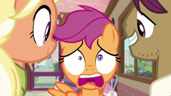 Size: 1920x1080 | Tagged: safe, screencap, character:mane allgood, character:scootaloo, character:snap shutter, species:earth pony, species:pegasus, species:pony, episode:the last crusade, g4, my little pony: friendship is magic, diner, shocked, shrunken pupils, varying degrees of want