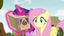 Size: 1920x1080 | Tagged: safe, screencap, character:fluttershy, character:twilight sparkle, character:twilight sparkle (alicorn), species:alicorn, species:pony, episode:growing up is hard to do, g4, my little pony: friendship is magic, duo, magic, saddle bag