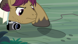 Size: 1920x1080 | Tagged: safe, screencap, character:snap shutter, species:pony, episode:the last crusade, g4, my little pony: friendship is magic, camera, footprint, solo