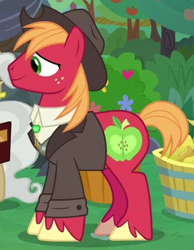 Size: 268x345 | Tagged: safe, screencap, character:big mcintosh, species:earth pony, species:pony, episode:the big mac question, g4, my little pony: friendship is magic, bolo tie, clothing, cowboy hat, cropped, hat, jacket, solo focus