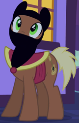 Size: 427x661 | Tagged: safe, screencap, character:meadow song, species:earth pony, species:pony, episode:luna eclipsed, g4, my little pony: friendship is magic, clothing, costume, cropped, nightmare night, nightmare night costume, ninja, solo