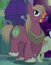 Size: 248x317 | Tagged: safe, screencap, character:big mcintosh, character:granny smith, species:earth pony, species:pony, episode:28 pranks later, g4, my little pony: friendship is magic, cookie zombie, cropped, rainbow muzzle, solo focus