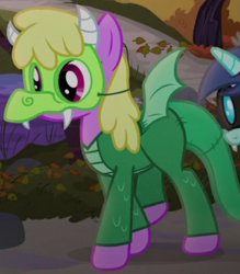 Size: 360x411 | Tagged: safe, screencap, character:cherry berry, species:earth pony, species:pony, episode:scare master, g4, my little pony: friendship is magic, clothing, costume, cropped, dragon costume, nightmare night, nightmare night costume, solo focus