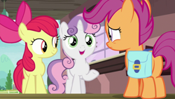Size: 1920x1080 | Tagged: safe, screencap, character:apple bloom, character:scootaloo, character:sweetie belle, species:earth pony, species:pegasus, species:pony, species:unicorn, episode:the last crusade, g4, my little pony: friendship is magic, butt, cutie mark crusaders, female, filly, plot, saddle bag