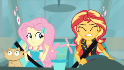 Size: 1920x1080 | Tagged: safe, screencap, character:fluttershy, character:sunset shimmer, episode:driving miss shimmer, g4, my little pony:equestria girls, angry, car, cat, driving miss shimmer: fluttershy, eyes closed, female, flower, flower pot, fluttershy's car, frustrated, geode of empathy, geode of fauna, gritted teeth, magical geodes, miss kitty, seatbelt, steering wheel
