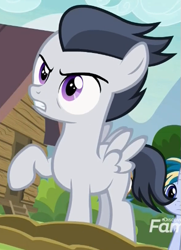 Size: 365x505 | Tagged: safe, screencap, character:mocha berry, character:rumble, character:skeedaddle, species:pegasus, species:pony, species:unicorn, episode:marks and recreation, g4, my little pony: friendship is magic, angry, colt, cropped, discovery family logo, male, raised hoof, solo focus